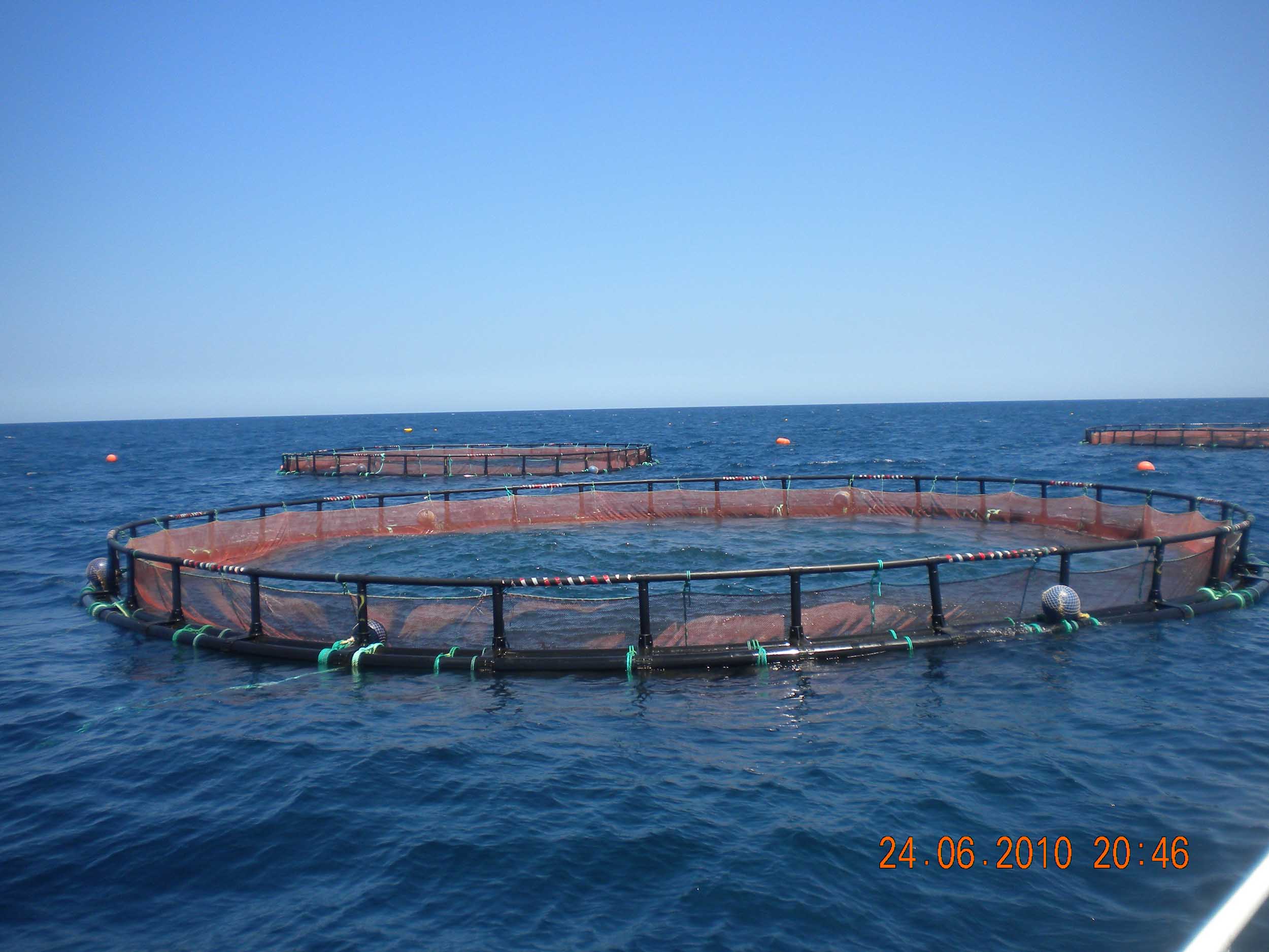 HDPE Circular fish farming Cage