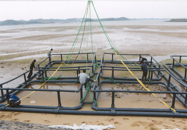 Aquaculture HDPE Cage(HDPE fishing Net Cage)